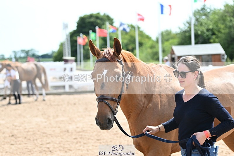 240717A-150708-02562 - Trot Up 3pm to 4pm