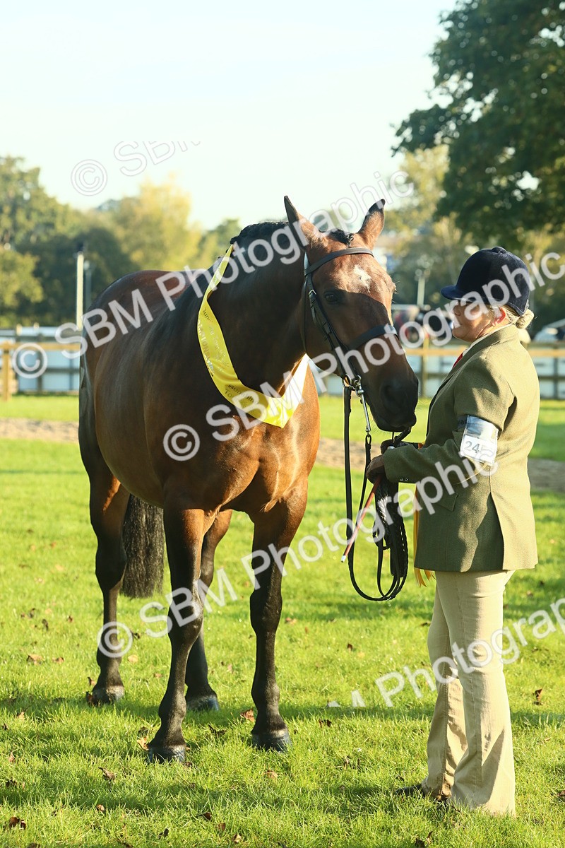 SBM_56754 - S36 - Starters Best Turnout