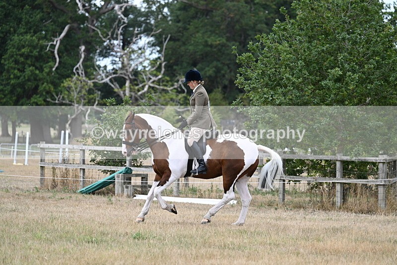 WJ7_5059 - Class 12 Ridden Cob