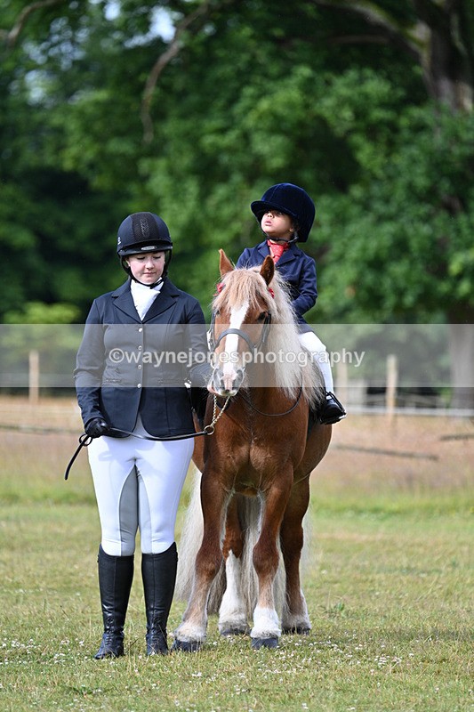 WJ7_4528 - Class 1 Lead Rein Pony