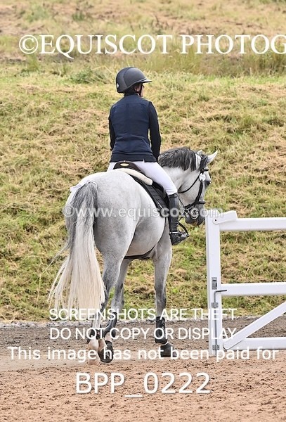 BPP_0222 - CLASS 25 SUN HOYS Redpost Equestrian Senior Foxhunter Second Round