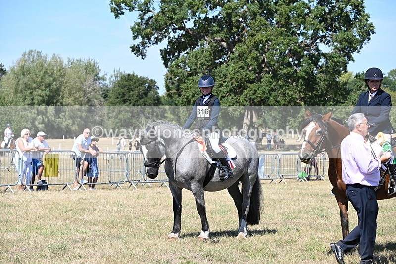 WJ6_8463 - Class 37a Best Loan Pony Ridden