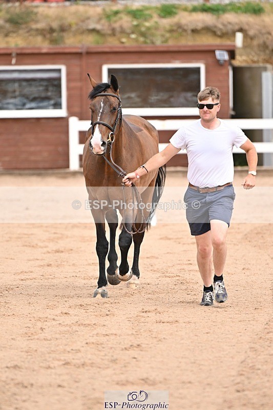 250716-150706-01634 - Trot Up 2.30 to 3.30