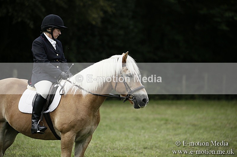 BVR090918 70 - BVRC Dressage and Show Jumping 09/09/18