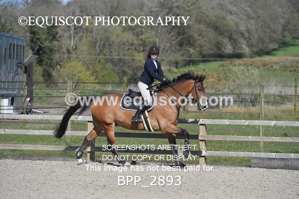 BPP_2893 - CLASS 10 Club 80cms Open