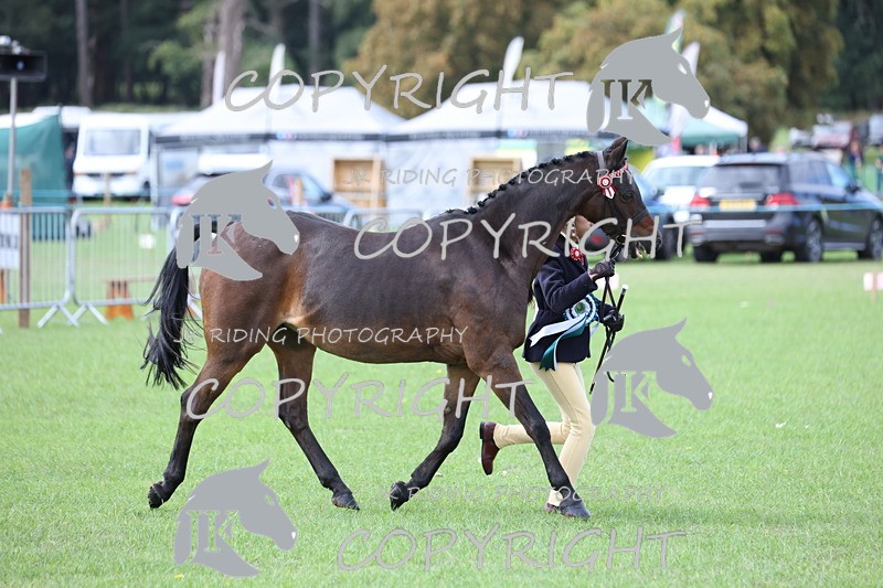 APP_2677 - Class 9 Veterans in hand