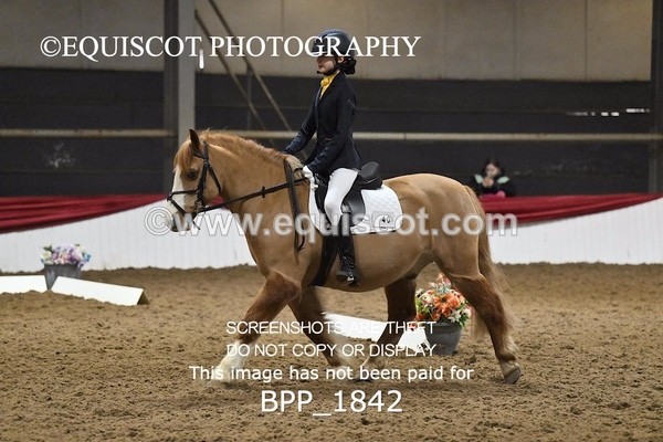 BPP_1842 - INTRO TEST 2