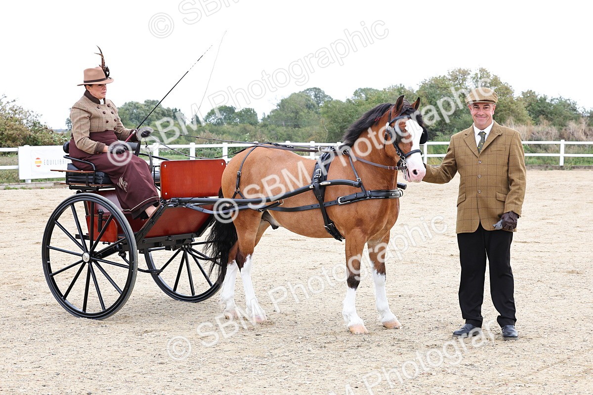 SBM_000296 - Class 2 - Exercise Vehicle 13.2hh & Under
