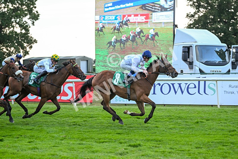 150825-Race 4-Fire Flame-2825 - Race 4