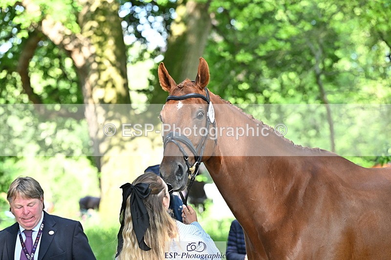 250521A-164657-01328 - C-259-Jasmine.Holmes-MSH.BONANZA