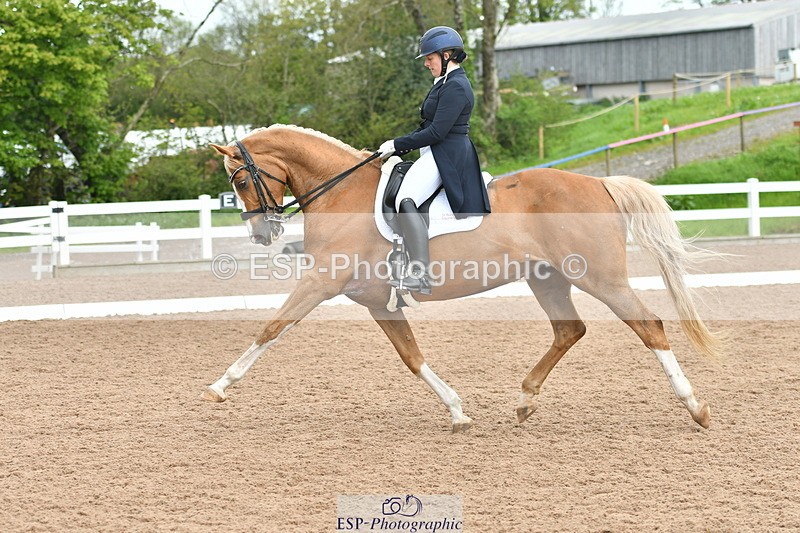 230511A-160111-01274 - BD Cls 18 FEI PSG