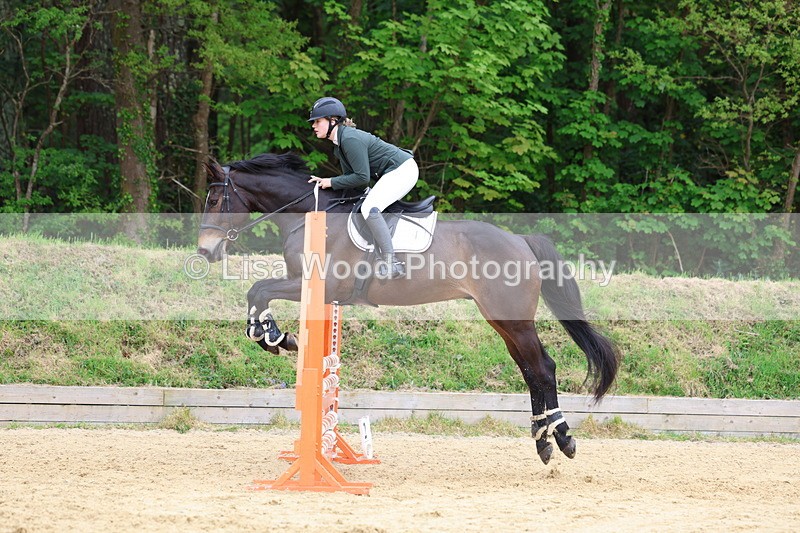 3E7A6526 - Class 4: Senior British Novice/90cm open
