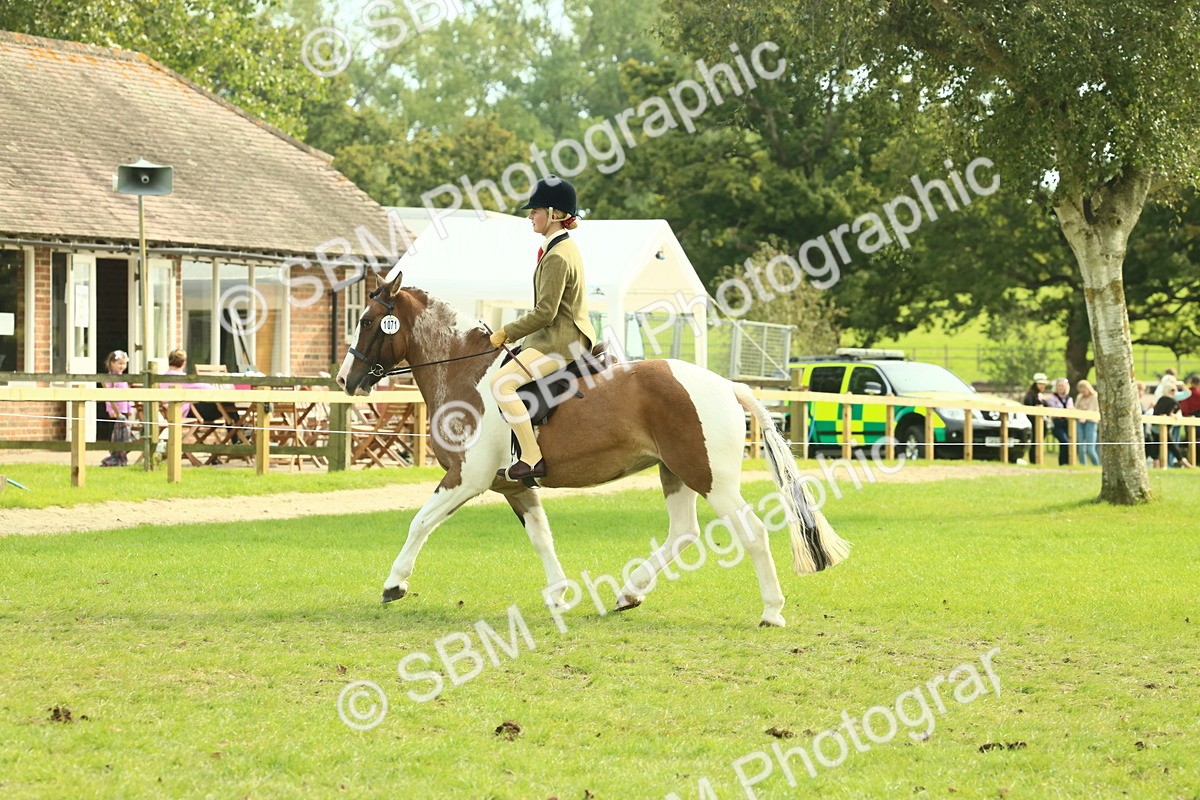 SBM_68110 - S57 - Part Bred Pony Ridden