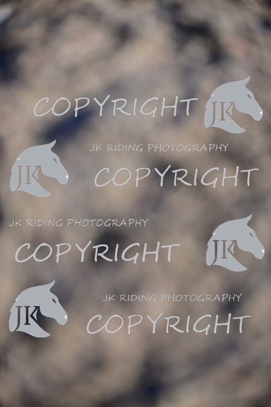 SBP_1189 - 10am - 11am