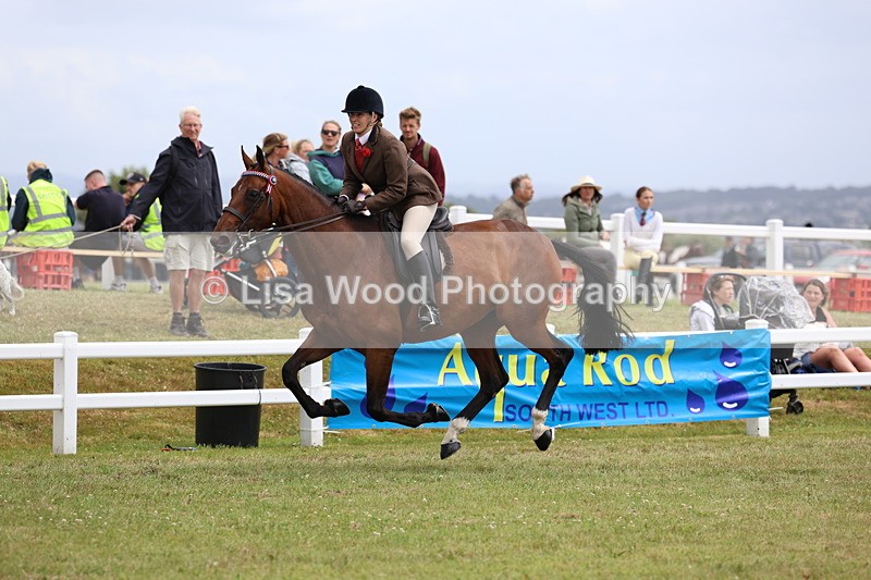 3E7A0989 - Class 8: Open Riding Horse/Hack