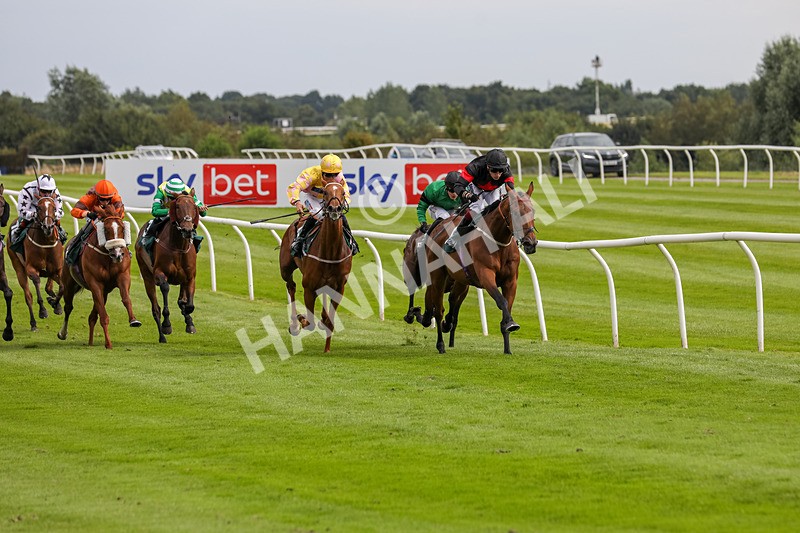 240724-Race 4-Swinging Eddie-3509 - Race 4