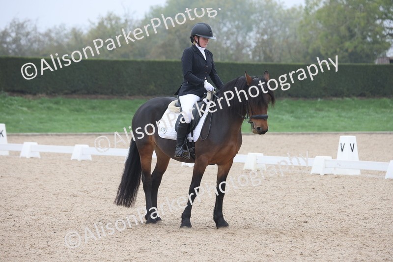 20251012-0451 - Class 3 - Novice 5