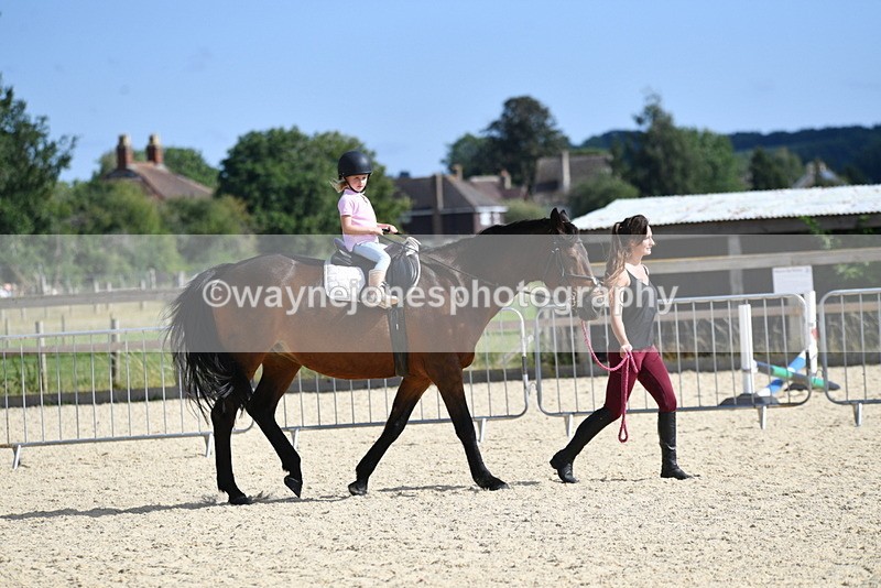 WJ5_5490 - Poles on the Floor