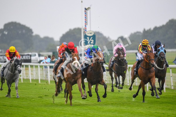 140723-Race 1-Northern Express-0032 - Race 1 2.05pm William Hill Epic Value Handicap
