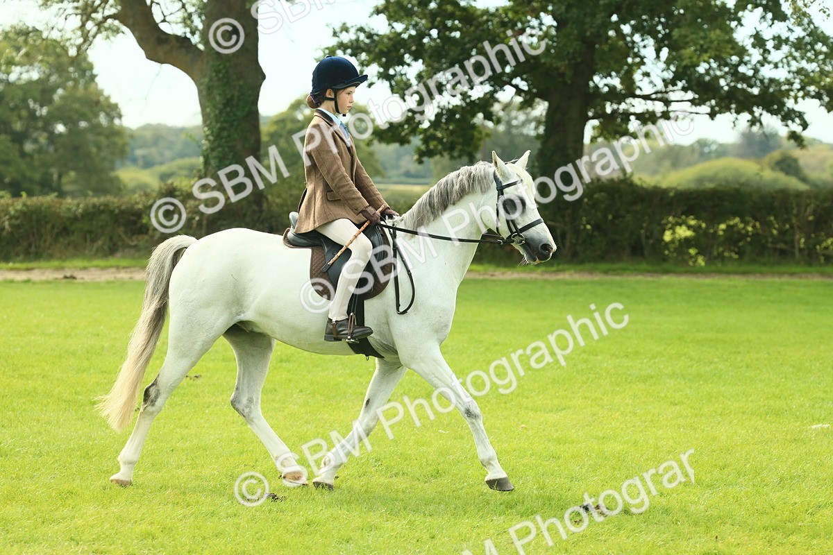 SBM_69798 - S59 - Mountain & Moorland Ridden Small Breeds