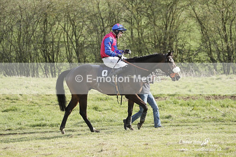 PtP 080423 867 - Dingley Races The Woodland Pytchley Hunt PtP 08/04/23