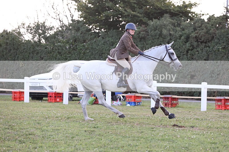 JPP_3650 - Class 24: Open Working Hunter