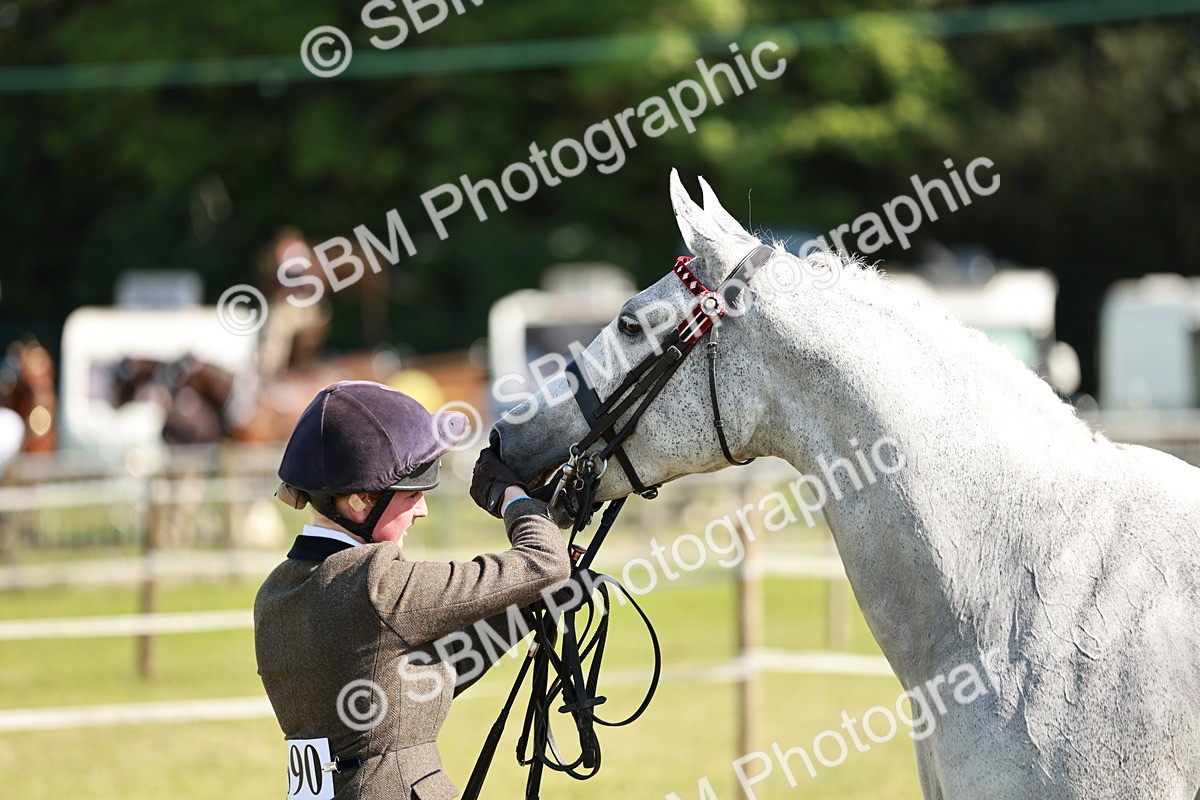 SBM_18900 - Class 114 - RIHS & SEIB Open Working Show Horse