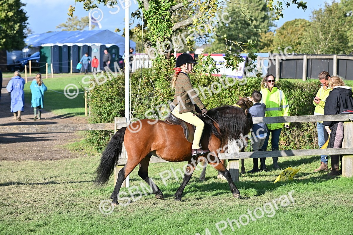SBM_52996 - S23 - First Ridden Mountain & Moorland Pony
