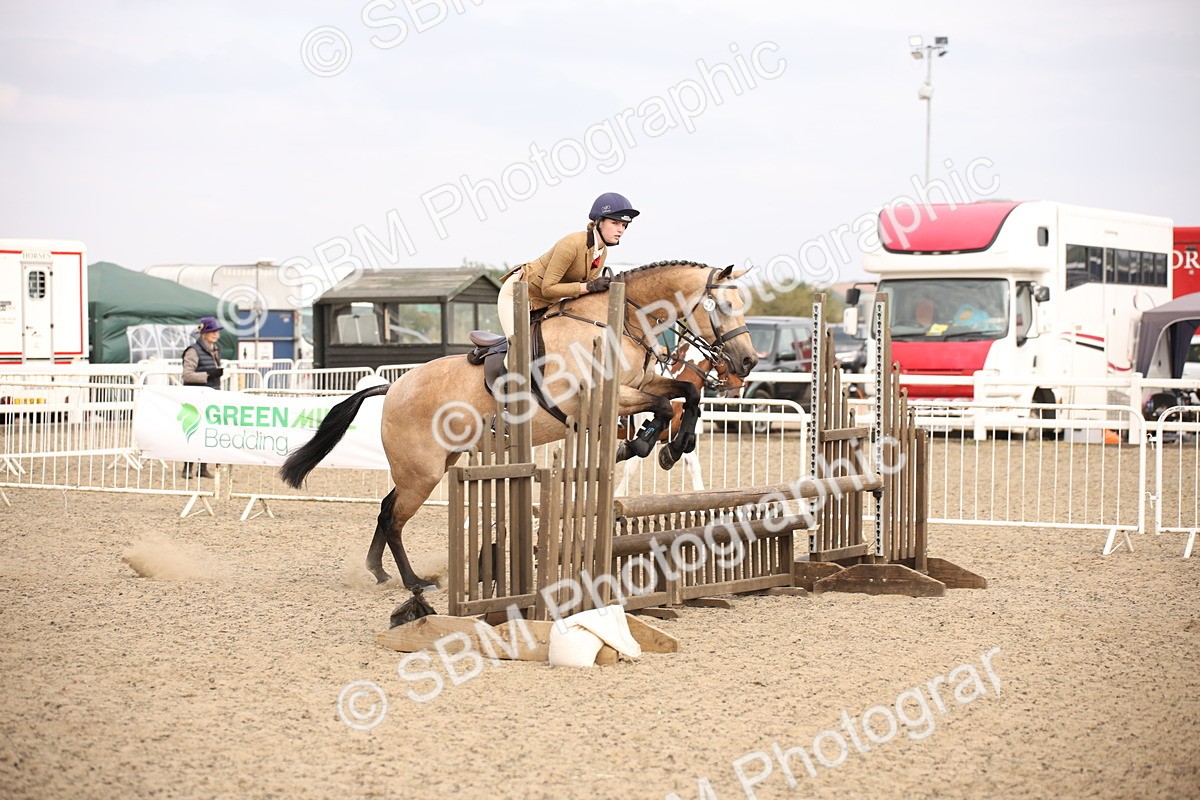 SBM_17151 - Class 409b - Working Veteran 80cm (20+)