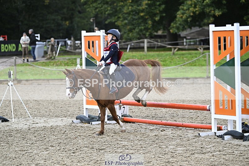 251005A-090835-02961 - Cls 02 GR 50cm