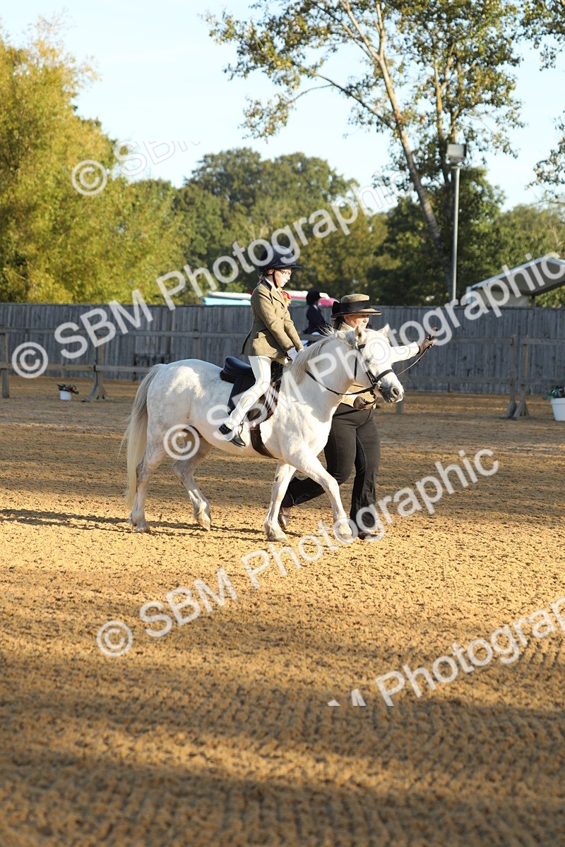 SBM_33587 - D26 - Starers - Lead Rein