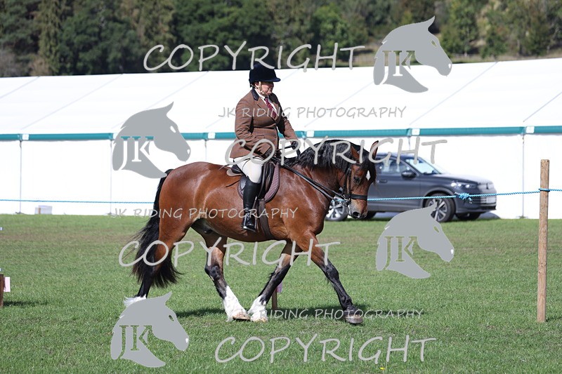 APP_3069 - Class 11 Veterans ridden