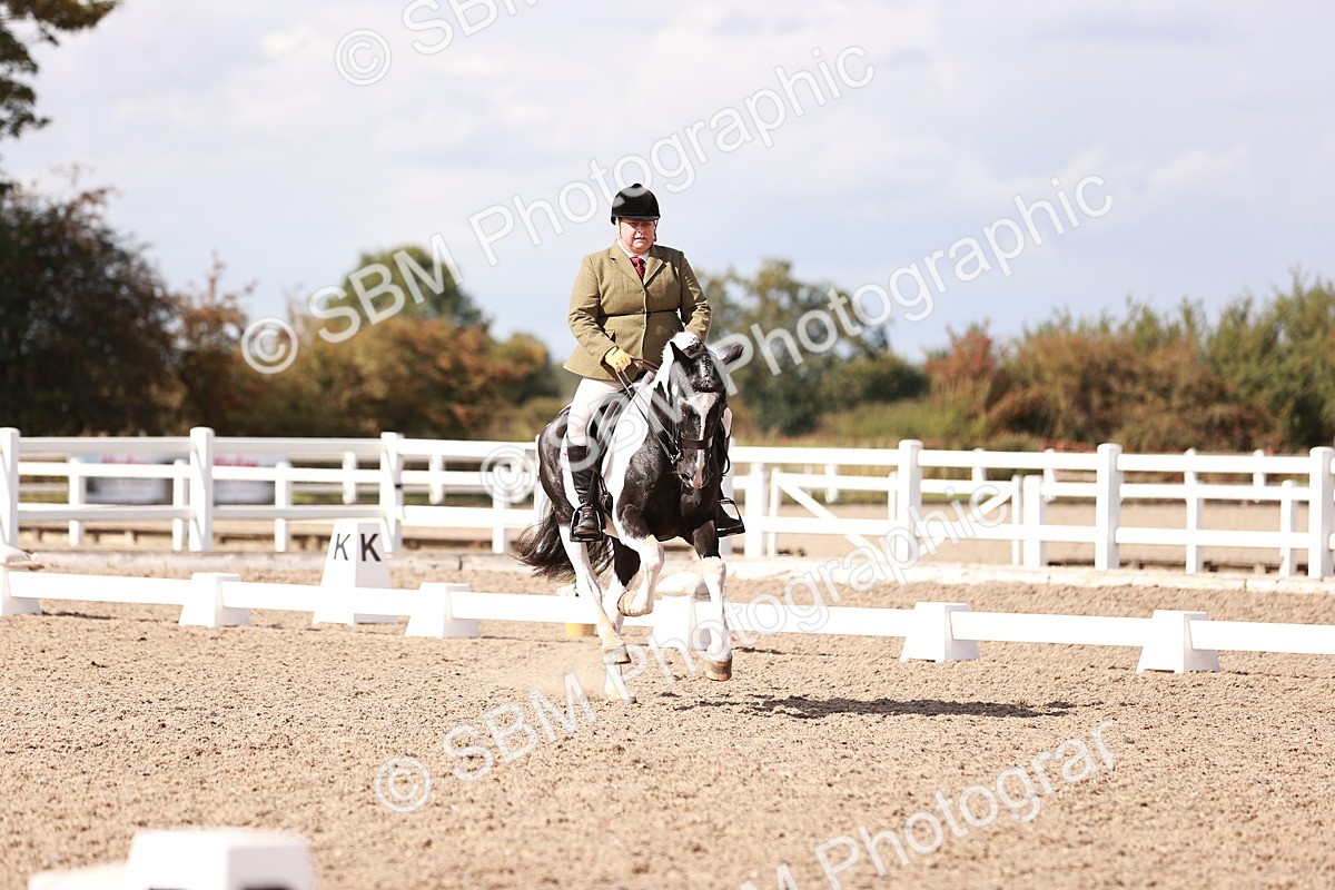 SBM_06614 - Class 39 - Medium 3