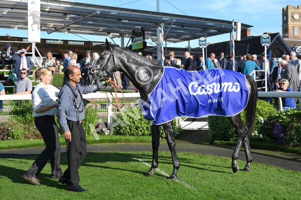 yr08102021r3-50 - Race 3 3.15pm Download The Casumo App Today Handicap