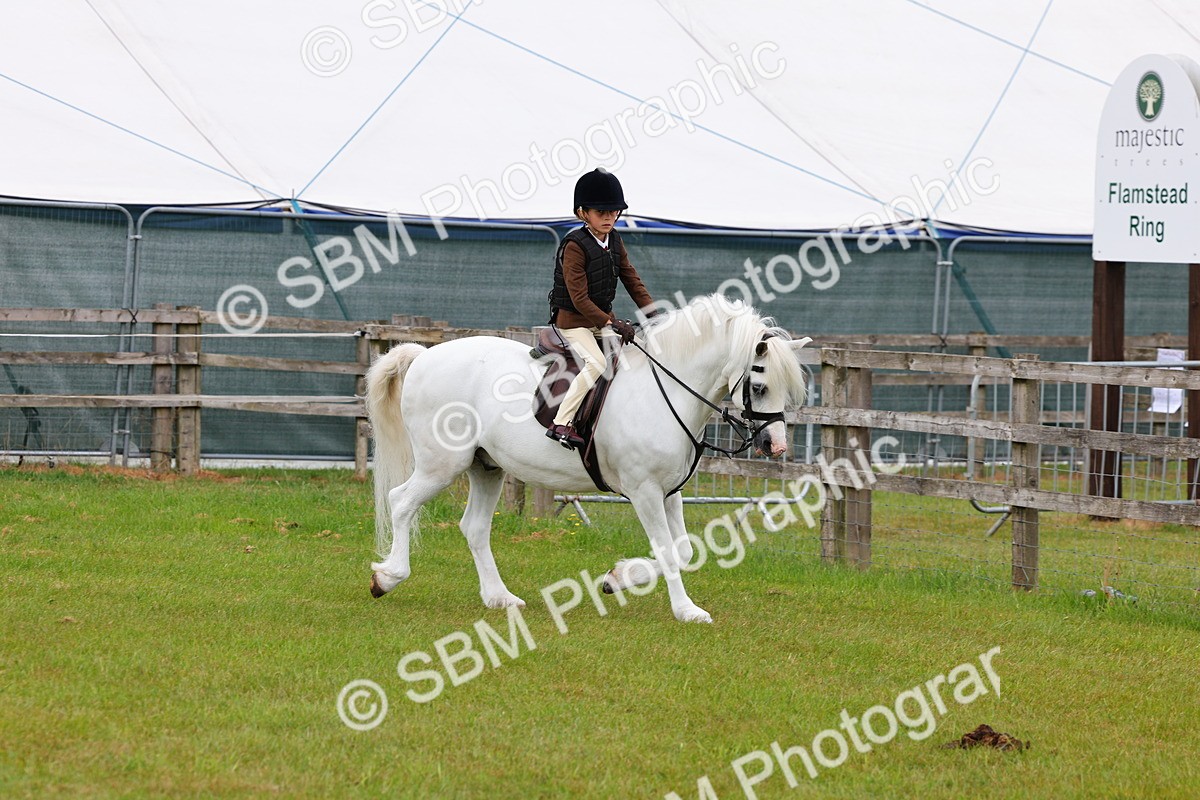 SBM_08471 - Class 42-43 - LIHS BSPS Heritage Working Sports Pony