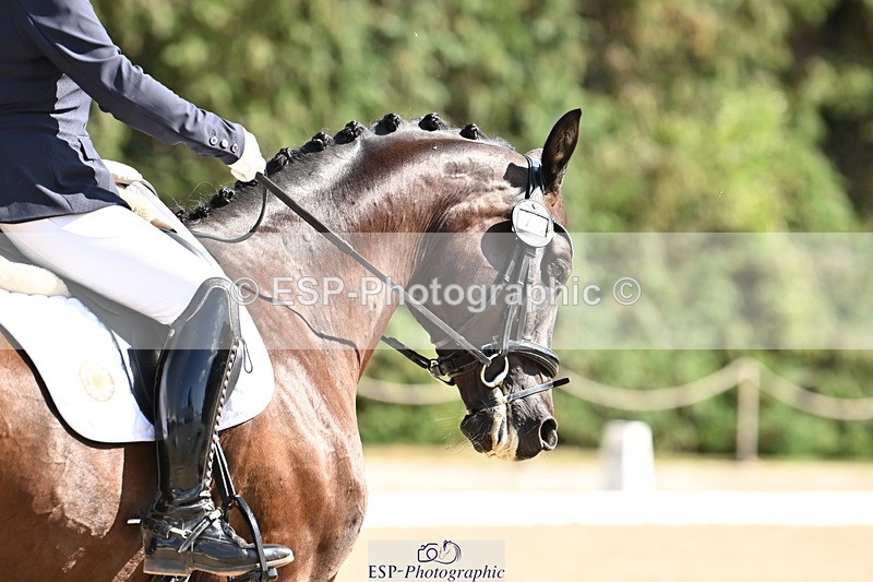 250808A-155002-01763 - 045-Amanda.PettsLarkshill.Super.Sonic