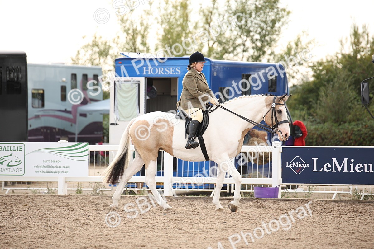 SBM_08752 - Class 12R Regional Ridden Pre-Vet