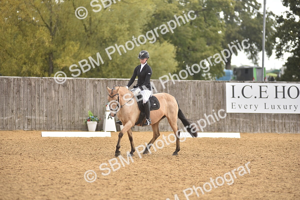 SBM_42378 - D22 - Junior Championship Intro 3