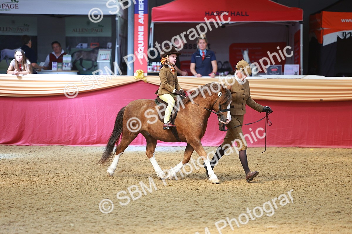SBM_12607 - Class 103 - HOYS Veteran Qualifier - Ridden Pre Vet