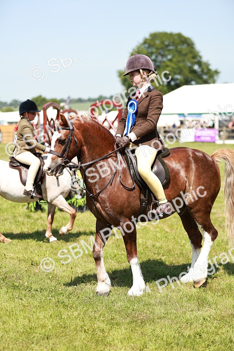 SBM_15810 - Class 108-109 - BSPS LIHS Open Gradle & Nursery Stakes