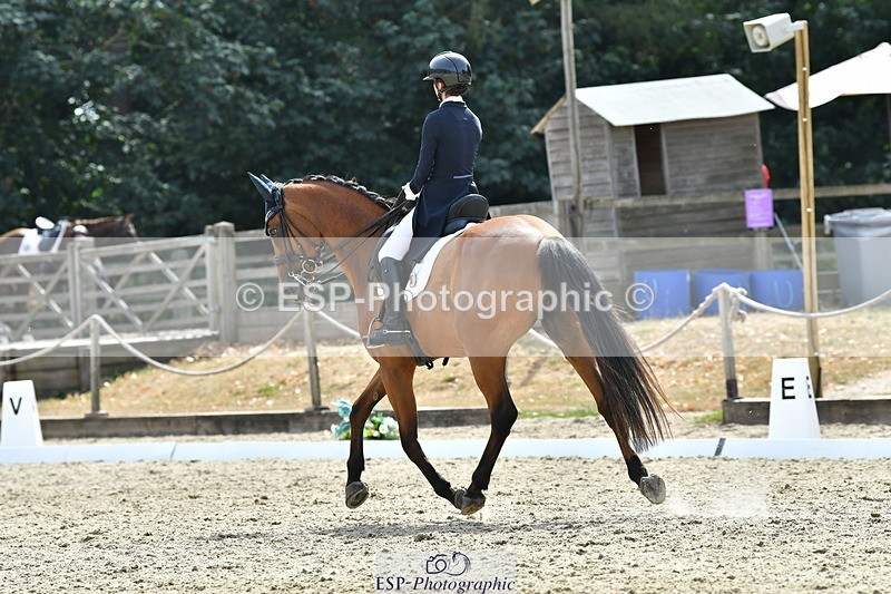 260802A-153147-07456 - Intermediate Bronze
