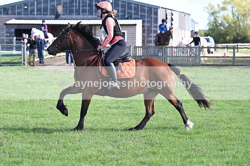 WJ7_1241 - Time 13:56 to 14:24