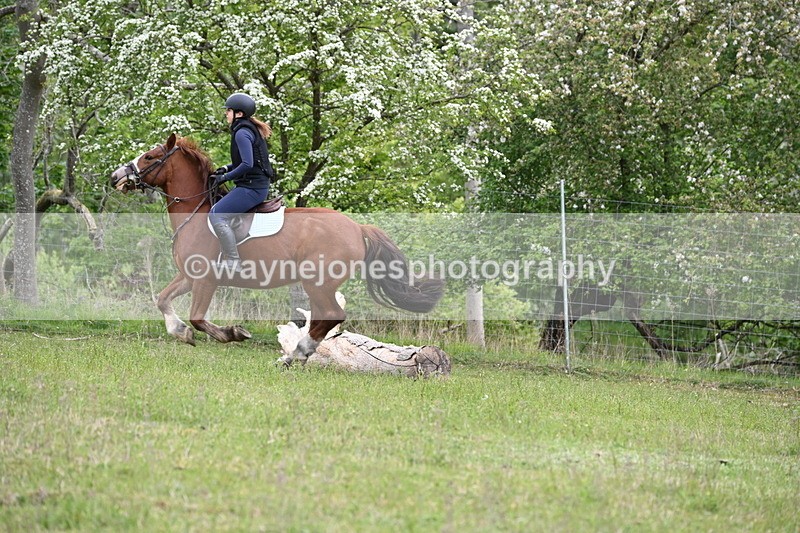 WJ6_1590 - Group 4 A&B Cameras