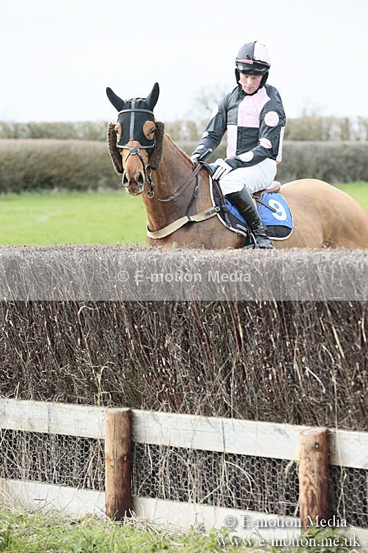 PtP 230319 204 - VWH Hunt Siddington Point-to-Point Racing 23/03/19