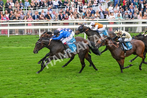 080925-Race 5-Elmonjed-7710 - Race 5 4.30pm Sky Bet Starman Garrowby Stakes