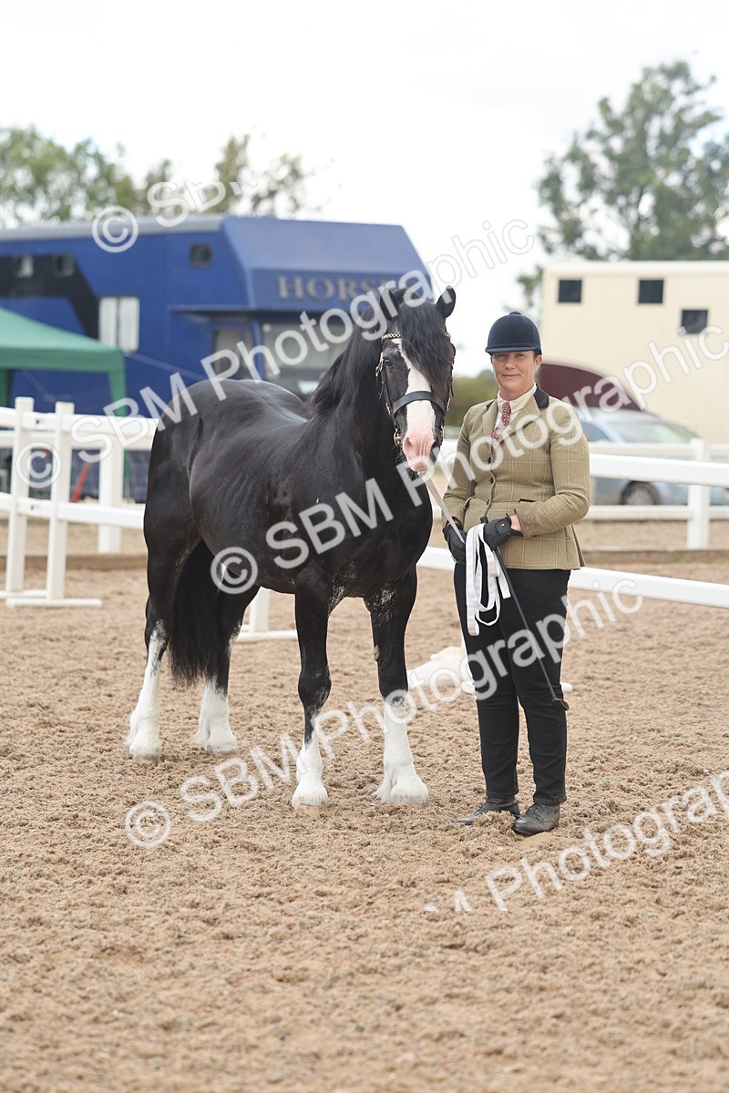 SBM_03284 - Class 16 - IH M&M Wildcard