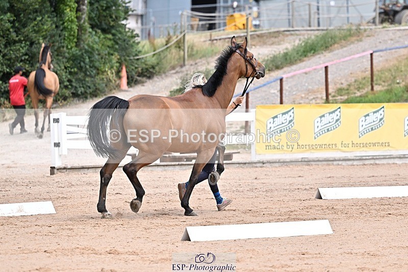 250716-130423-00304 - Trot Up 12.30 to 1.30