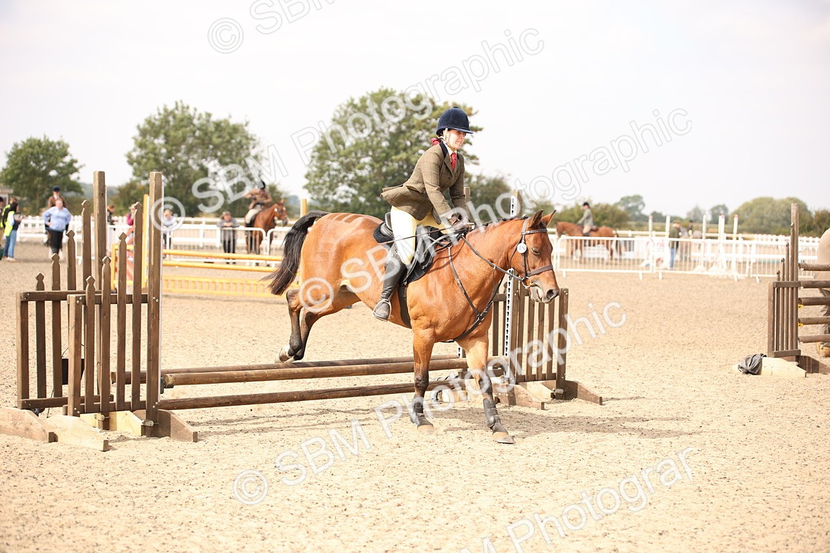 SBM_12911 - Class 406a - Working Veteran 50cm (15-19)