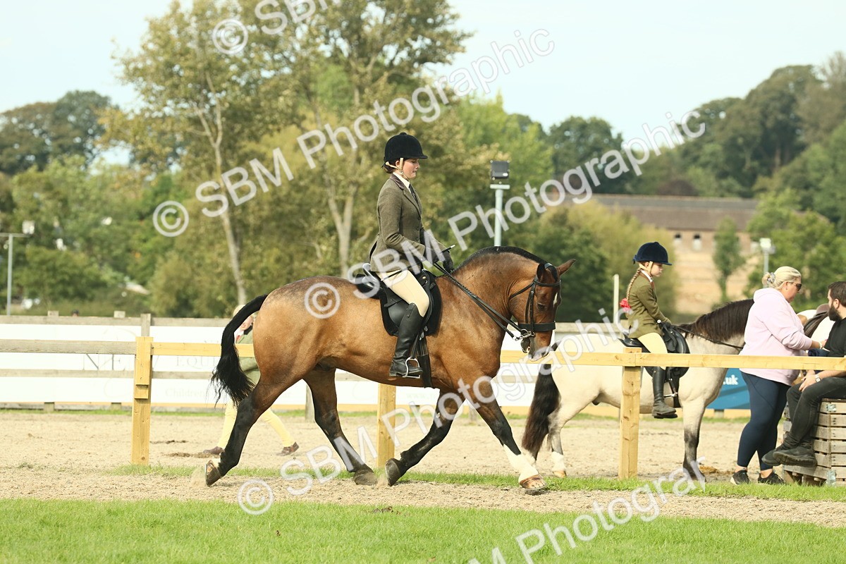 SBM_68193 - S58 - Mini Show Cob Ridden