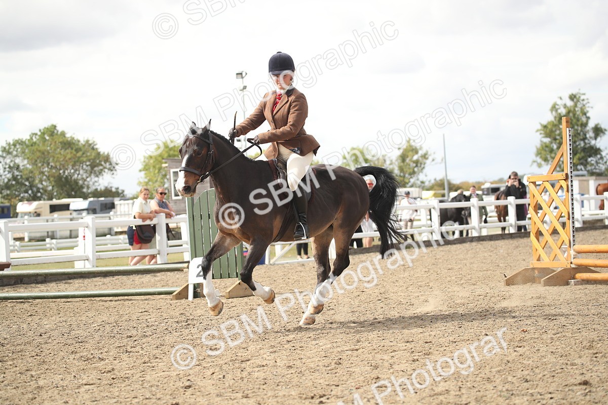 SBM_15268 - Class 506b - Working Veteran - 50cm (20+)